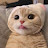 @고양히-m6u
