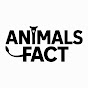 Animals Fact logo