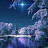 @ARIFKHAN-r4u2v