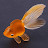 goldfish385