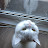 @shufflephunk's avatar