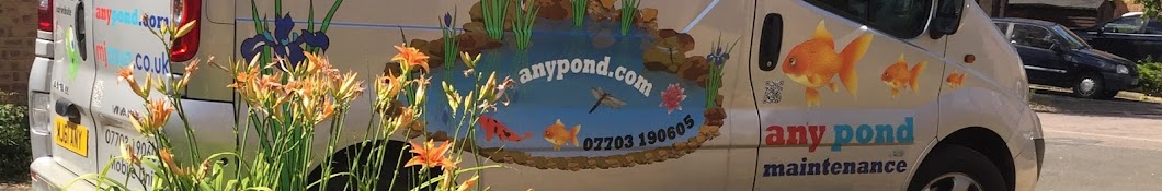 The Pond Advisor YouTube channel avatar