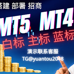 MT5,MT4源码搭建外汇交易平台出租招商アイコン画像
