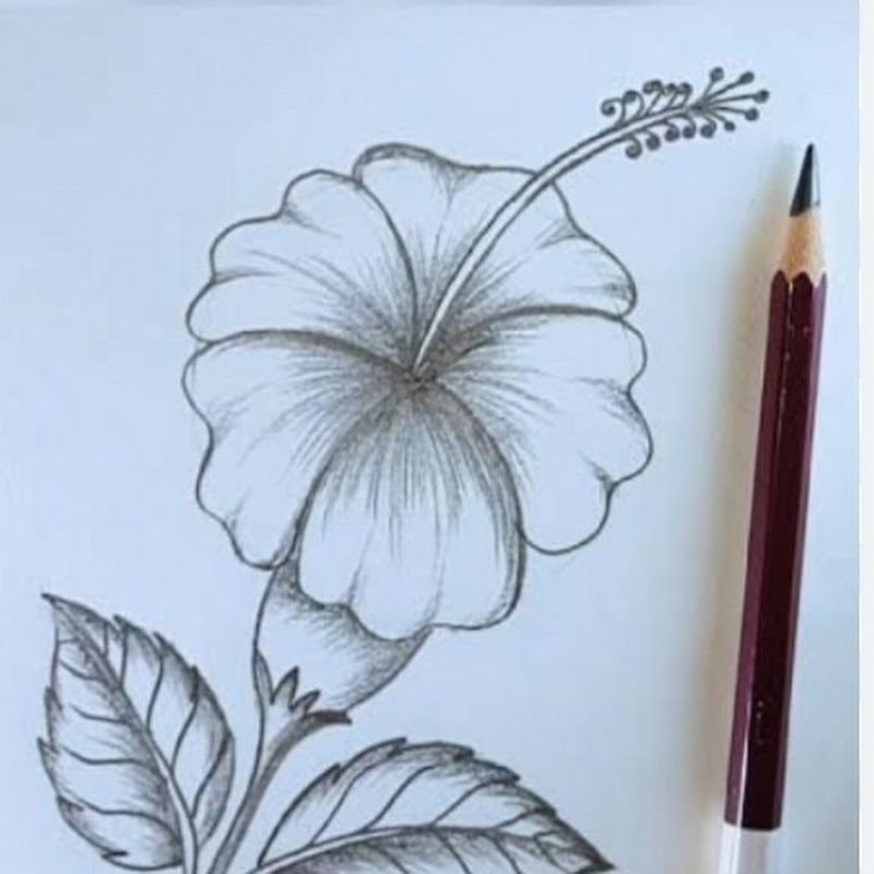 Hire vashudhiman Art's 🎨🎨 — Fine Art Painting (Oils, Acrylics) YouTube creator for sponsorships