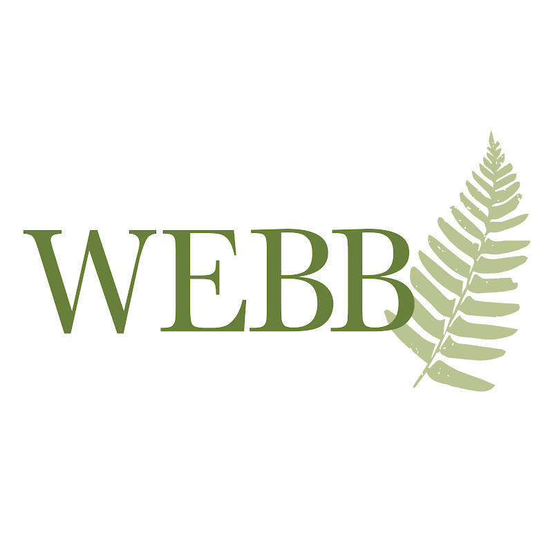 Webb Investment Services