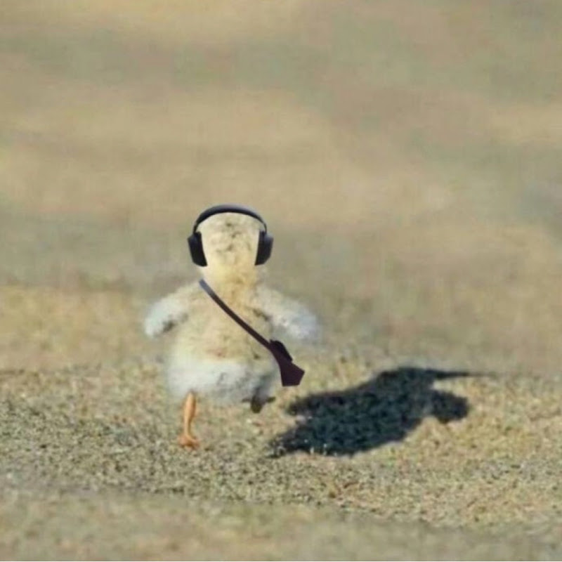 AI 쇼츠 모아