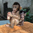 W_WmI-kgD58-channel-avatar-Hans Monkey Haven 