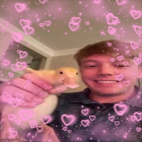 Post from The Biffler