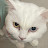 @영앵-s4e
