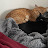 @Crissycatchannel