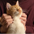 WVw1NfZw8ZY-channel-avatar-All cats are ASMR PROs