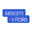 GIE SESAM-Vitale