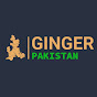 Ginger Pakistan logo