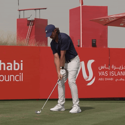 年間チャンピオン トミーフリートウッド使用　スイング・プレーン・パーフェクター 年間チャンピオン トミーフリートウッド使用 スイング・プレーン