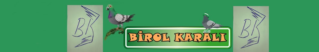 birol karalÄ± YouTube channel avatar
