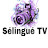 Selingue tv