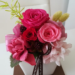 節約生活のんたん日記