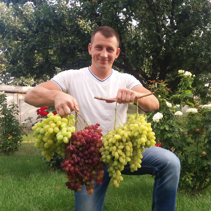 Андрій Прилепко