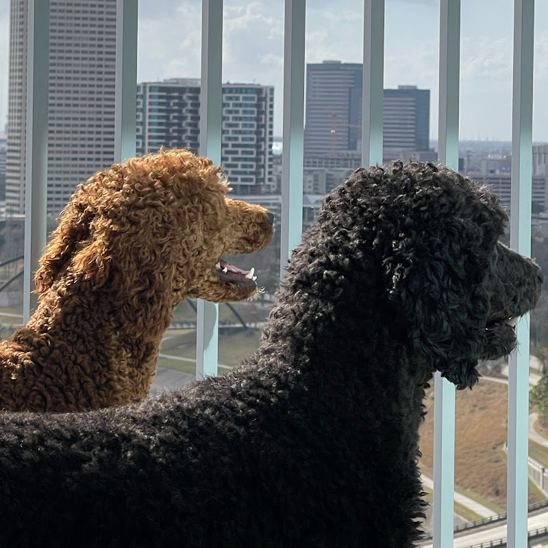 2cutepoodles