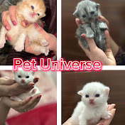 Pet Universe