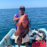 LXZQjR8nVYo-channel-avatar-Placeres del mar 