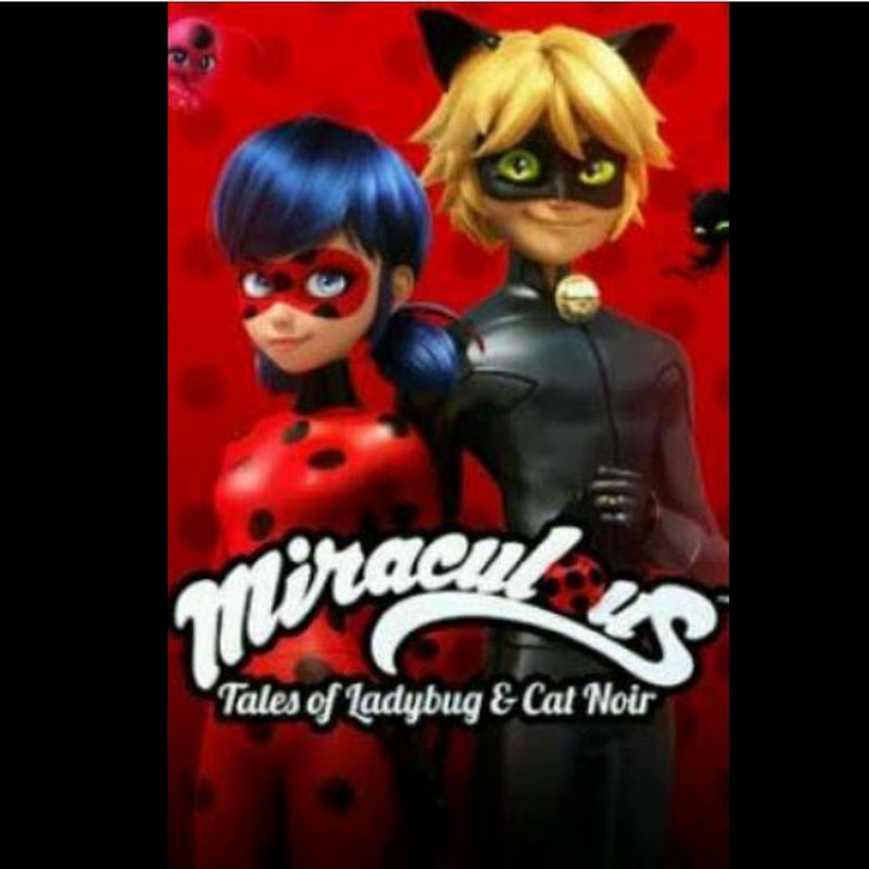 Miraculous tales of Ladybug and Catnoir