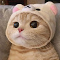 냥기자