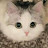 @루피오짱-z1z