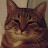 @Snupity's avatar