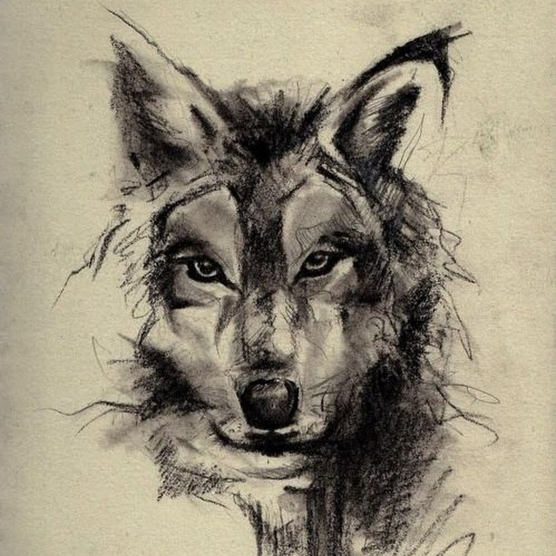 Modestwolf