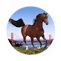 Bay Area Equestrian Network Avatar