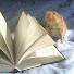 I2-75lYzV8s-channel-avatar-Rat Reader