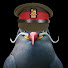 FIQxxfs7Da0-channel-avatar-Bird Shenanigans
