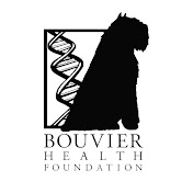 Bouvier Health Foundation