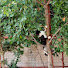osSgrJGxldY-channel-avatar-Testat pe Bune
