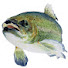 EhZrPETq58U-channel-avatar-Flyfishing Laurent LAFFLY