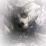avCMSiOc6Kg-channel-avatar-𝐓𝑹𝐈𝑿𝐈𝑬