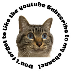 ちくニャンとささニャン