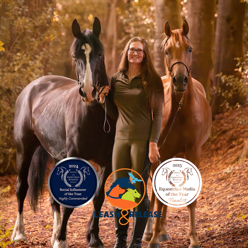 EnduranceWithDarcey
