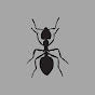 Animal World Antlion logo