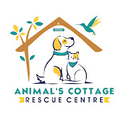 Animals Cottage - Rescue Center 2.0