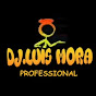 Luis Mora - @luismora-tc1kf - Youtube