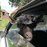 _klv_lDOvuc-channel-avatar-LabLartCars