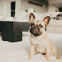 Mila The Frenchie Warrior logo