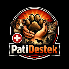Pati Destek