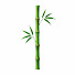 CaXJ4GD81hg-channel-avatar-Bamboo Water Healing
