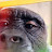 @KiidNoir Avatar