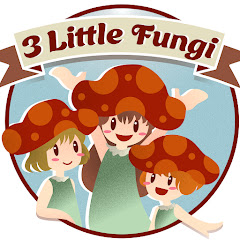 3 Little Fungi Lawn Care