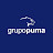 Grupo Puma Spain