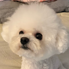 천사TV
